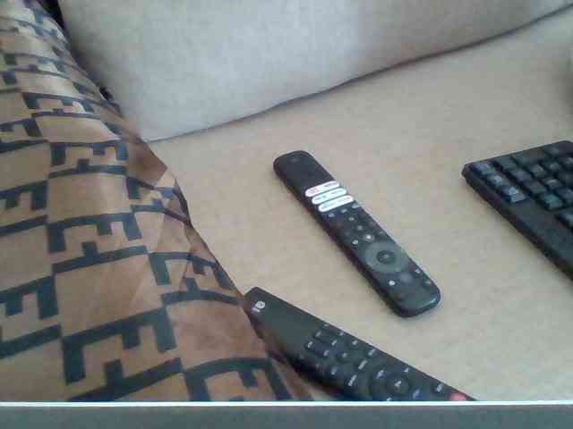 Dollie webcam