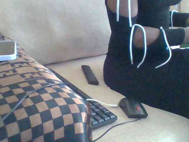 Dollie webcam