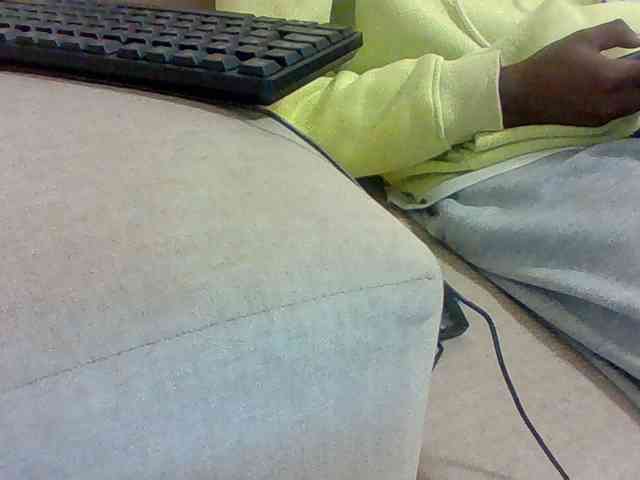Dollie webcam