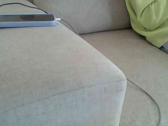 Dollie webcam