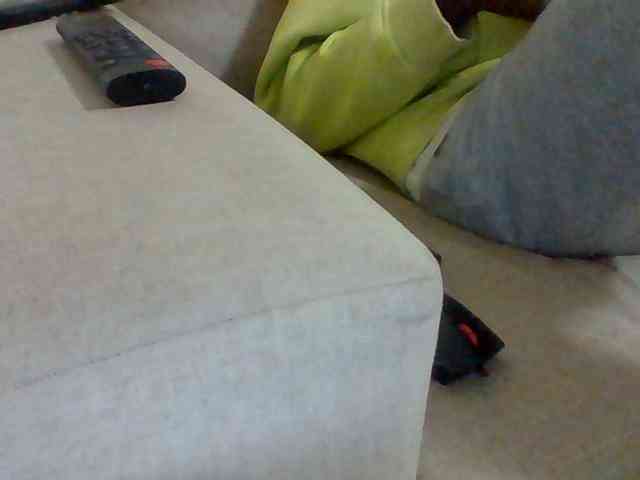 Dollie webcam