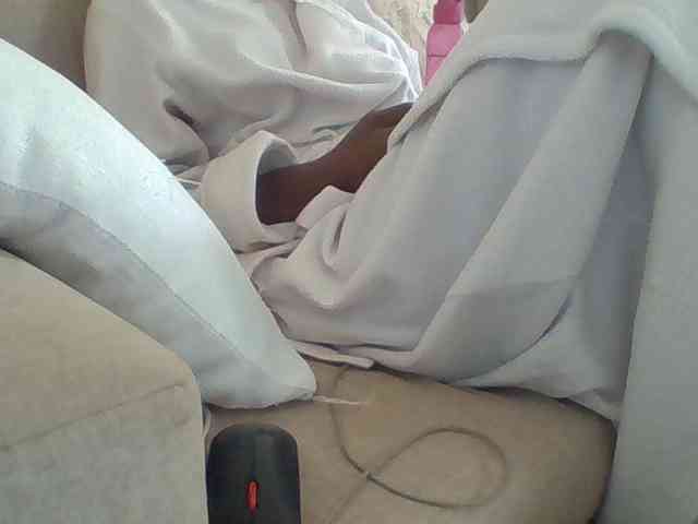 Dollie webcam