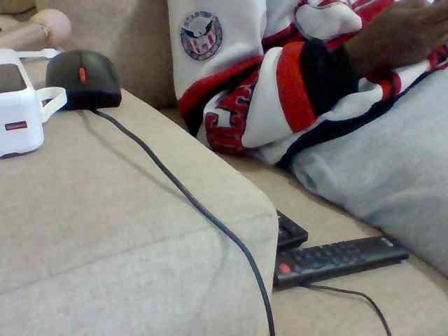 Dollie webcam