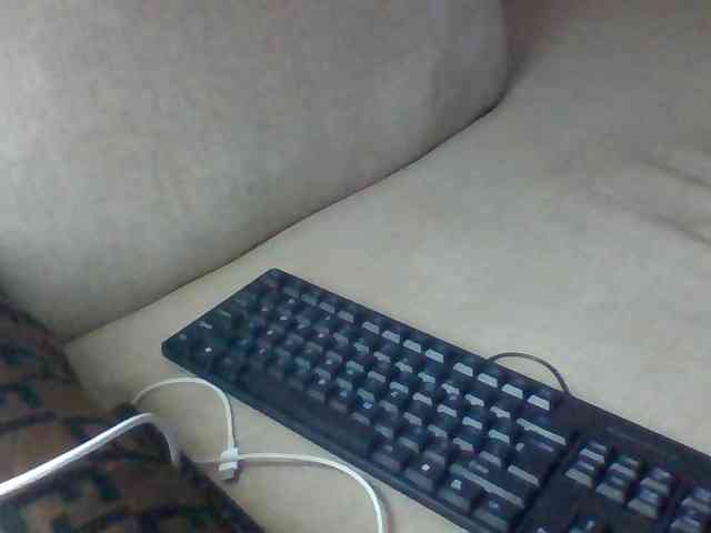 Dollie webcam