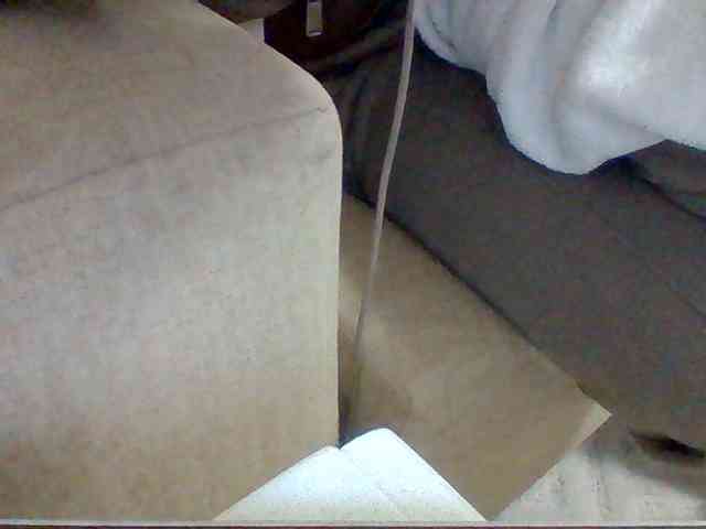 Dollie webcam