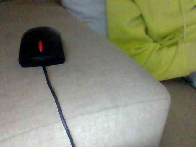 Dollie webcam