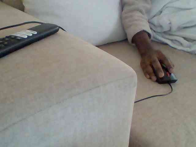 Dollie webcam