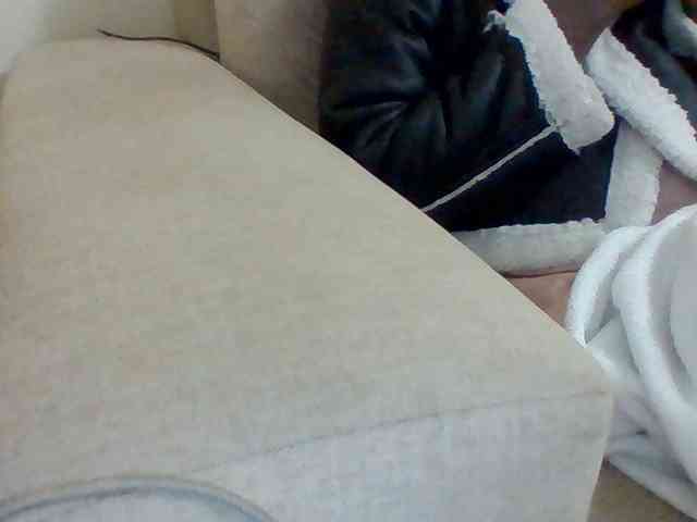 Dollie webcam