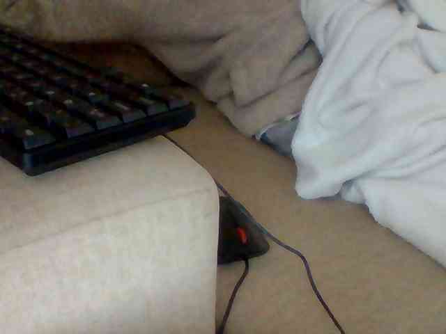 Dollie webcam