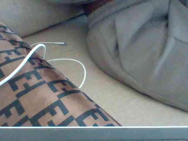 Dollie webcam
