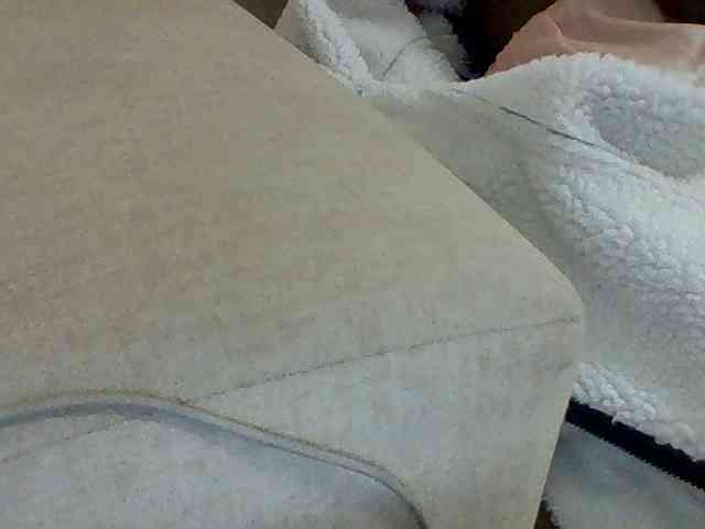 Dollie webcam