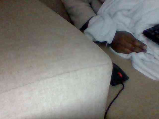 Dollie webcam