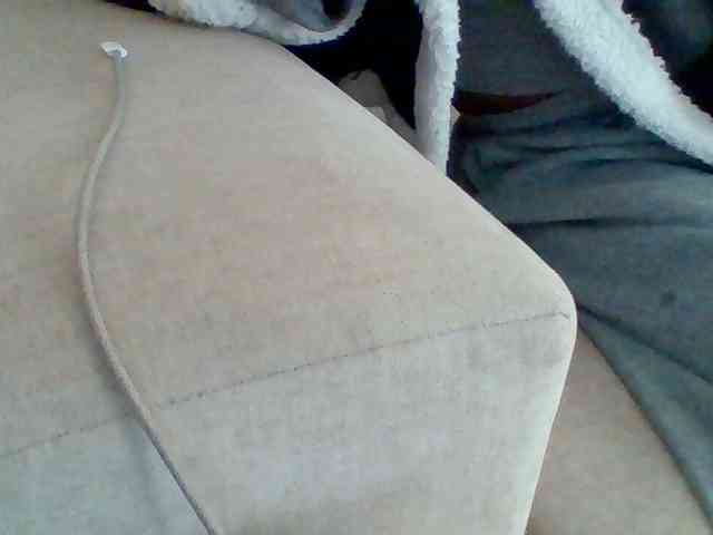 Dollie webcam