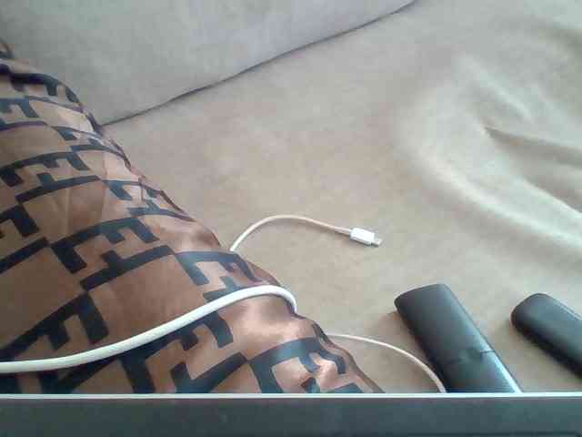 Dollie webcam