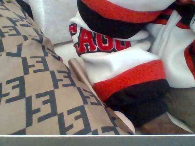 Dollie webcam