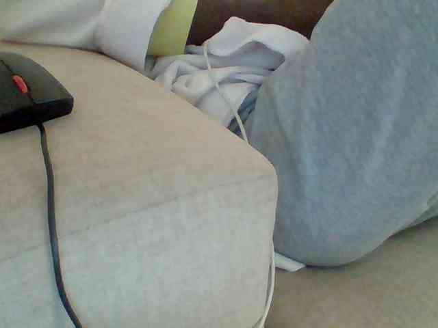 Dollie webcam