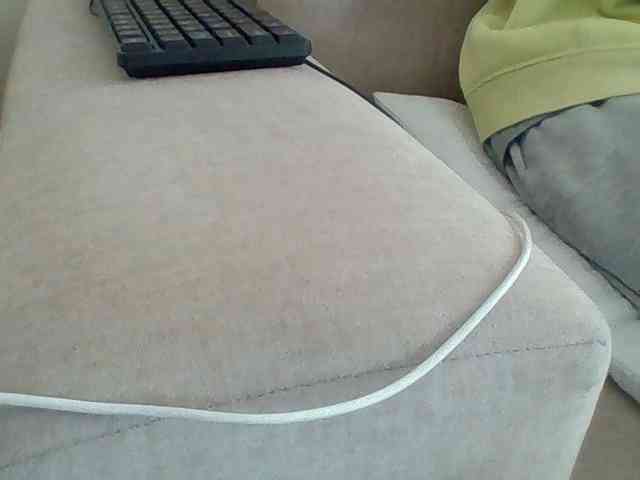 Dollie webcam