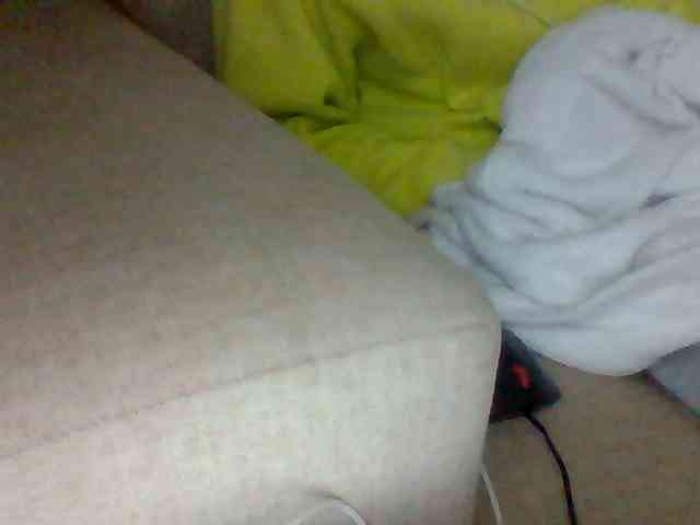 Dollie webcam