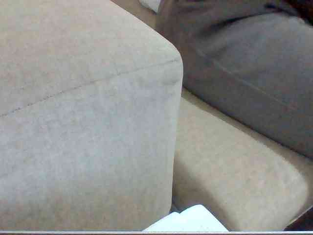 Dollie webcam