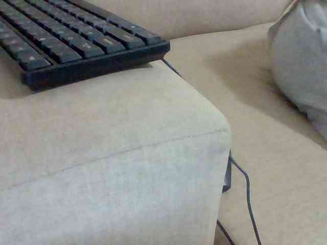 Dollie webcam