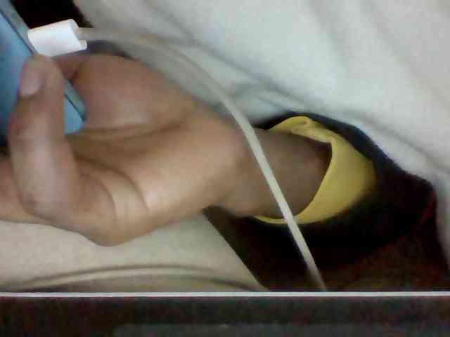 Dollie webcam
