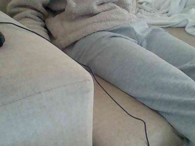 Dollie webcam