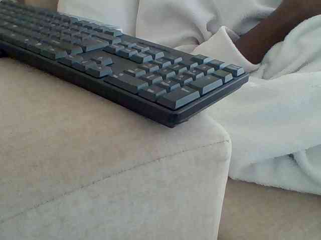Dollie webcam