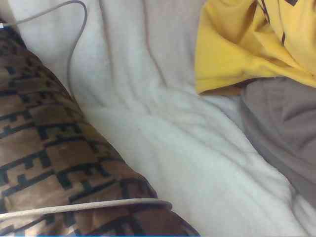 Dollie webcam
