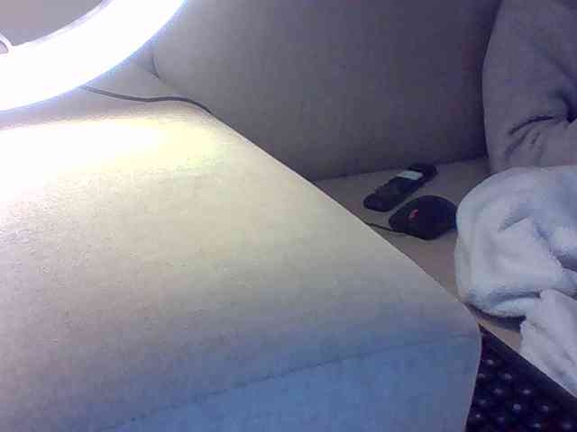 Dollie webcam