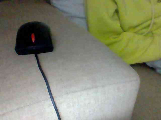 Dollie webcam