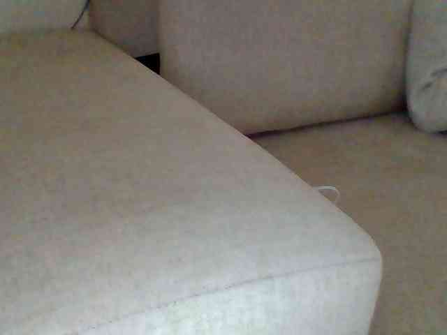 Dollie webcam