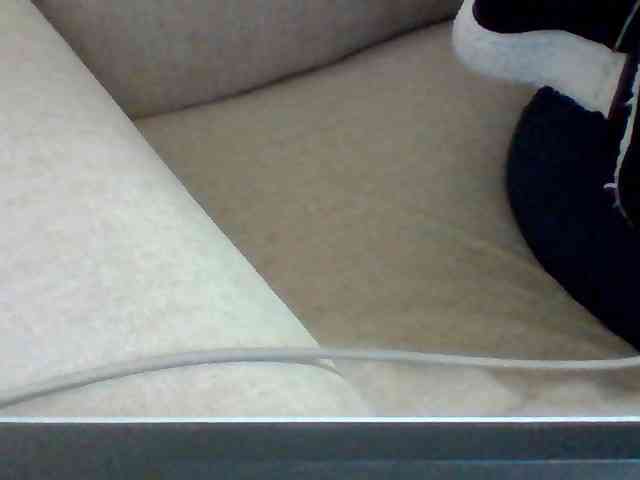 Dollie webcam