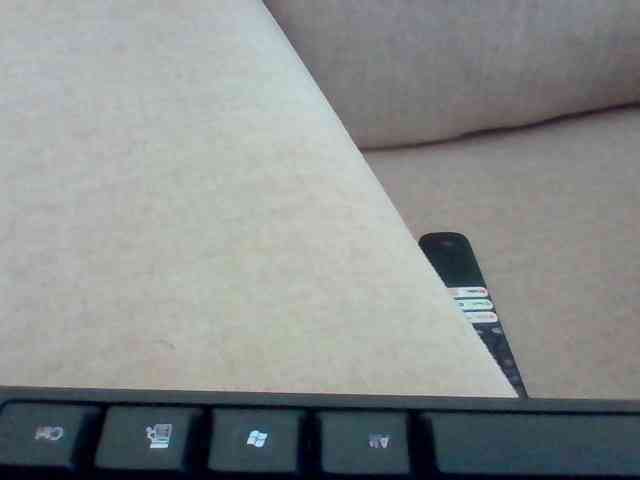 Dollie webcam