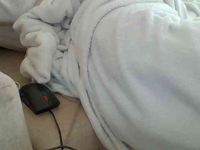 Dollie webcam