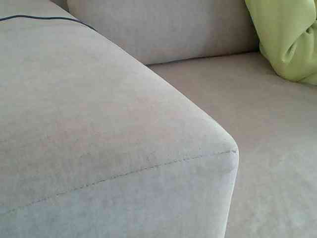 Dollie webcam