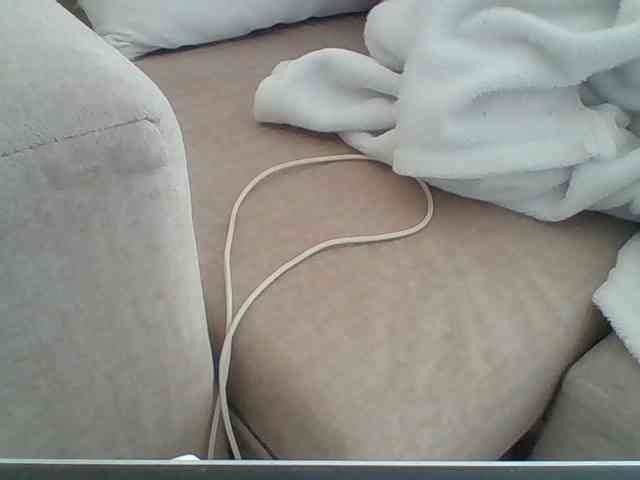 Dollie webcam