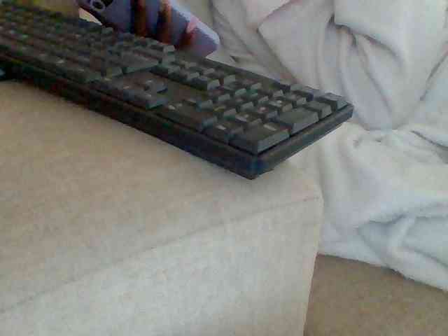 Dollie webcam
