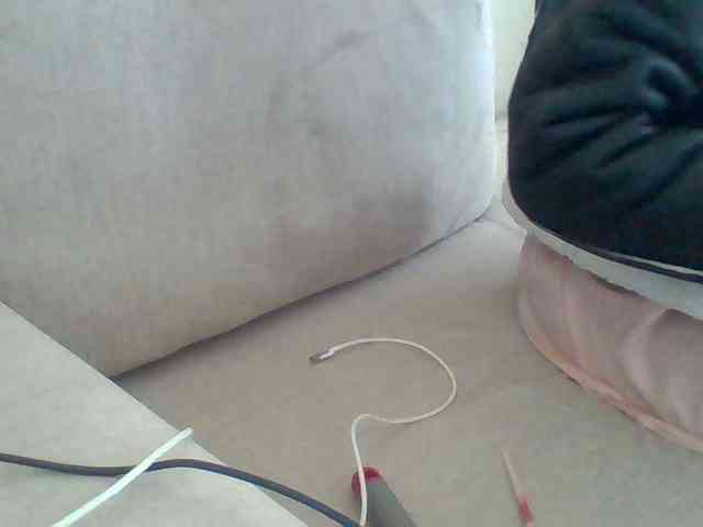 Dollie webcam