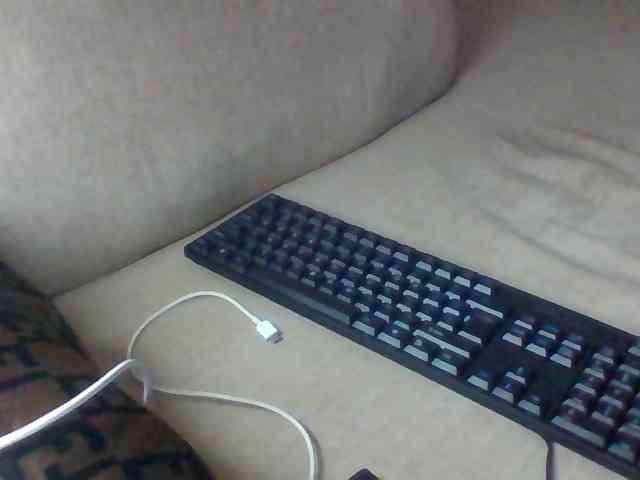 Dollie webcam