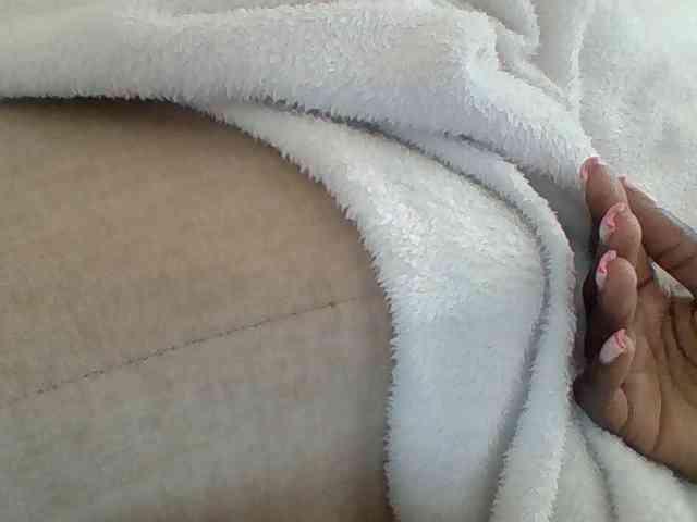 Dollie webcam