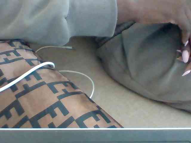 Dollie webcam