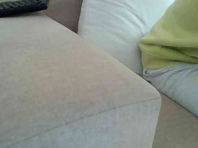 Dollie webcam