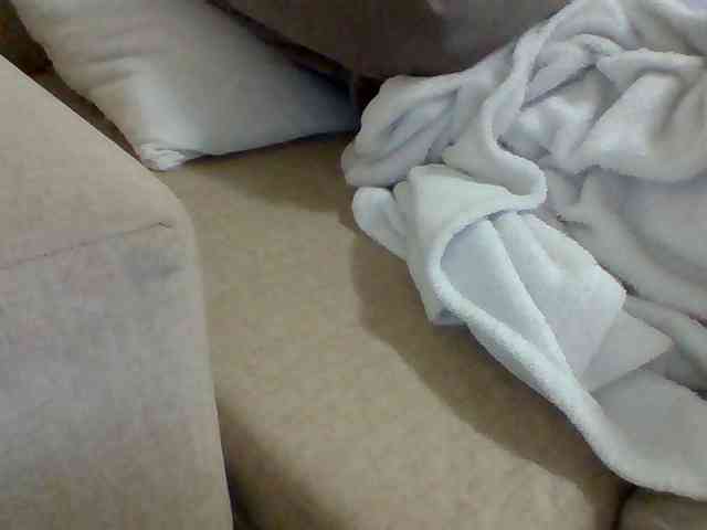Dollie webcam