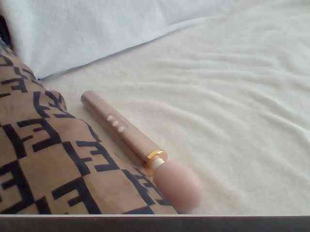 Dollie webcam