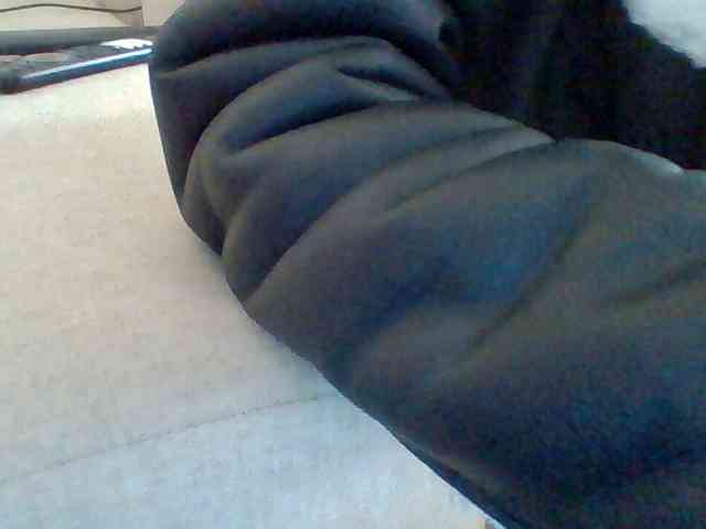Dollie webcam