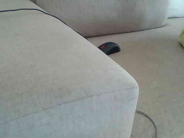 Dollie webcam