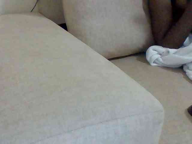 Dollie webcam