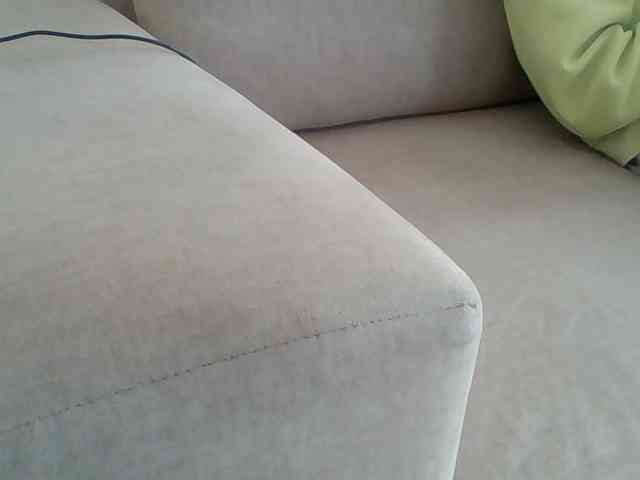 Dollie webcam