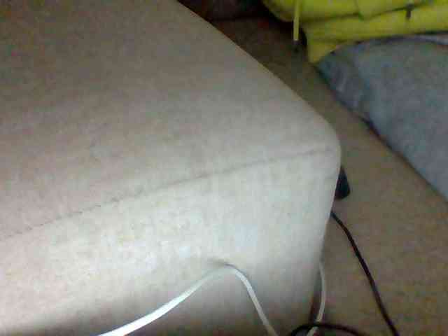 Dollie webcam
