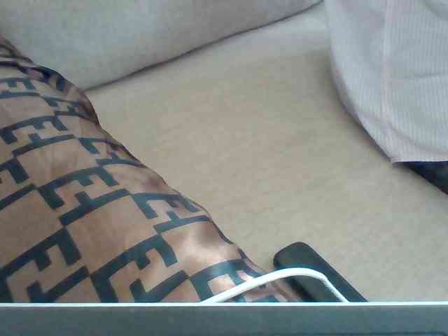 Dollie webcam